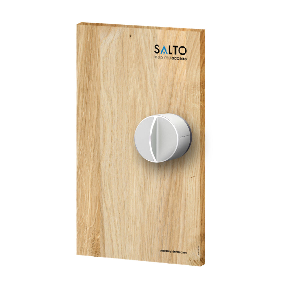 DANLOCK V3 SMART LOCK (COUVERCLE EN BOIS CLAIR)